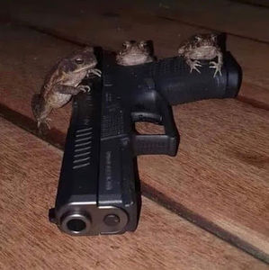 Meet your Posher, Kyla